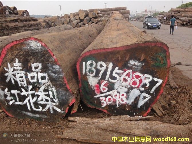 �t�����Ԕ����B