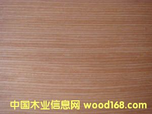 ���� 504��Ԕ��(x��)��B