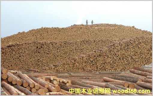 ԭľ��Ԕ��(x��)��B