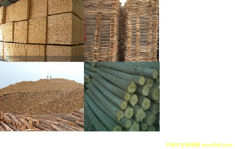 ľ�� ľ���Ԕ��(x��)��B