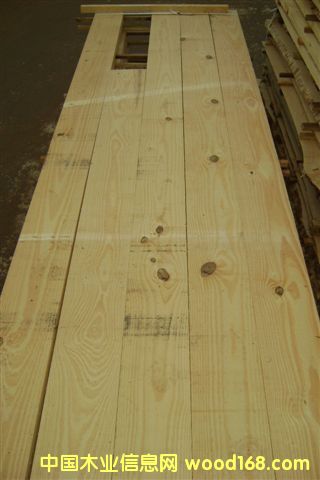 100%FSC�J�C Taeda Pine (�����)