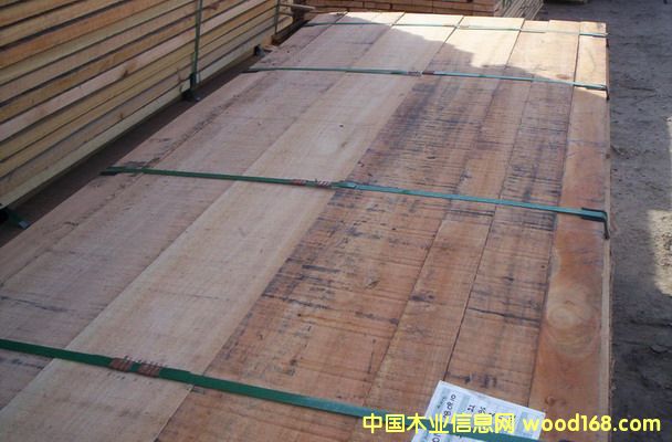 100%FSC�J�C Grandis (��ľ)