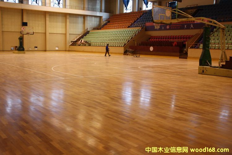 �\�ӵذ��Ԕ��(x��)��B