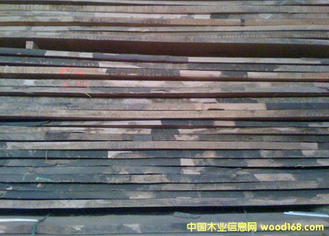 ��ľë߅���Ԕ��(x��)��B