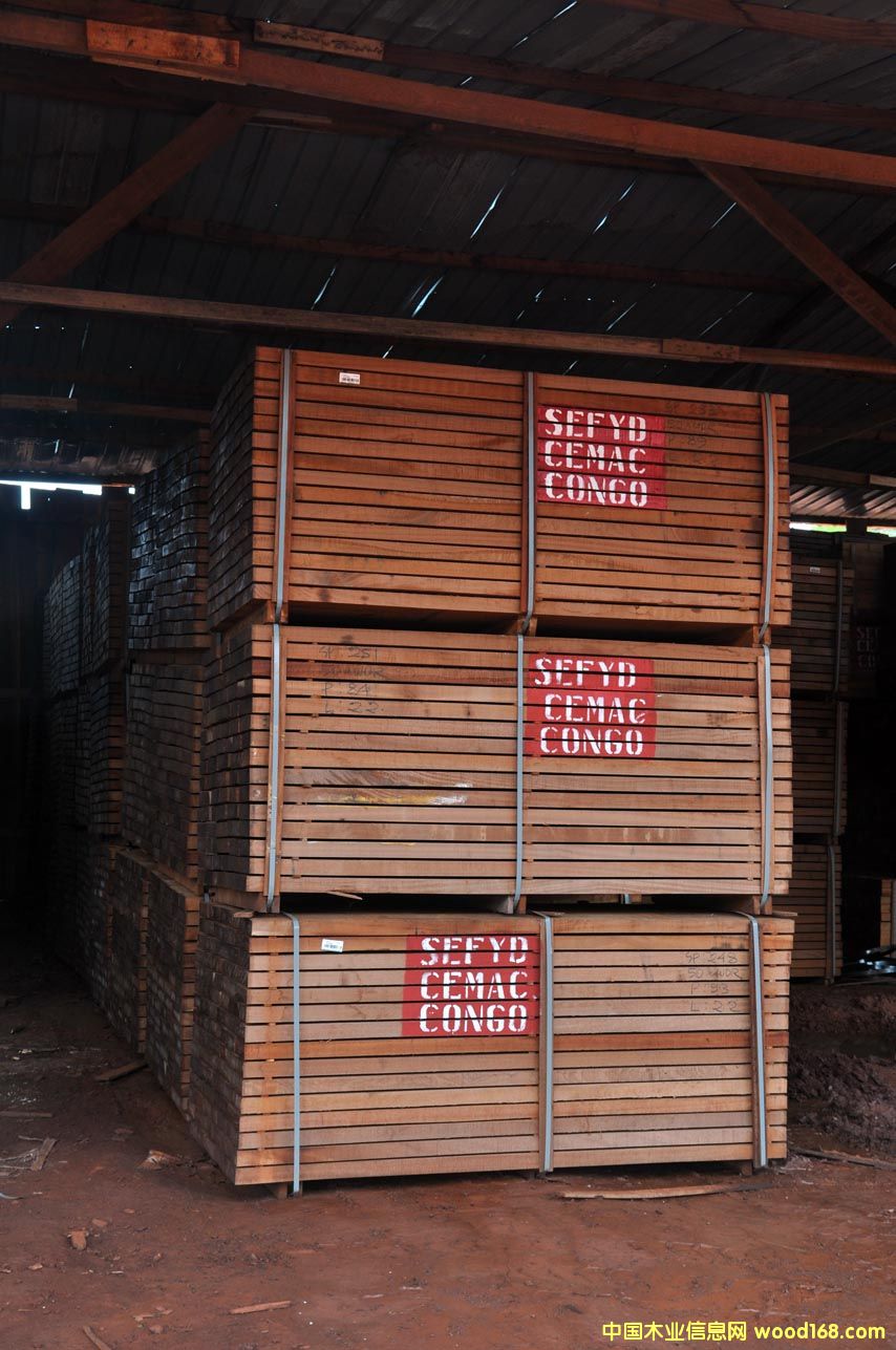 沙比利的詳細(xì)介紹