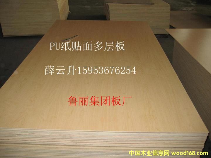 PU���N����Ӱ��Ԕ����B