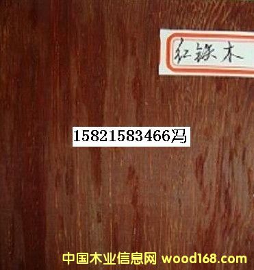 紅鐵木的詳細(xì)介紹