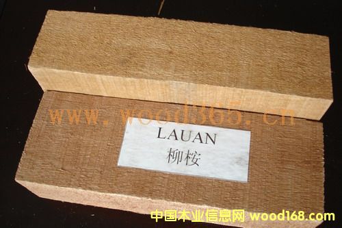 柳桉木的詳細(xì)介紹