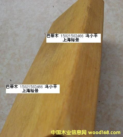 巴蒂木的詳細(xì)介紹