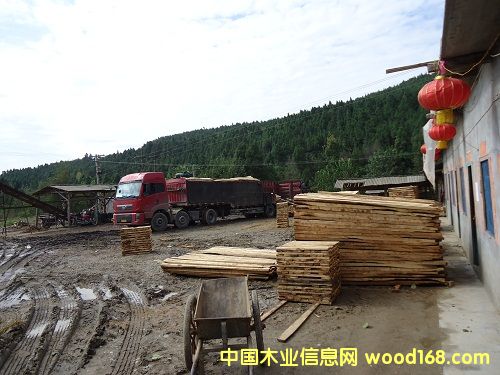 ��ľ��Ԕ����B