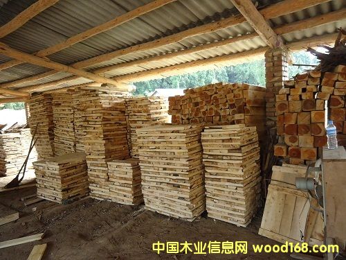 ��ľ��Ԕ����B