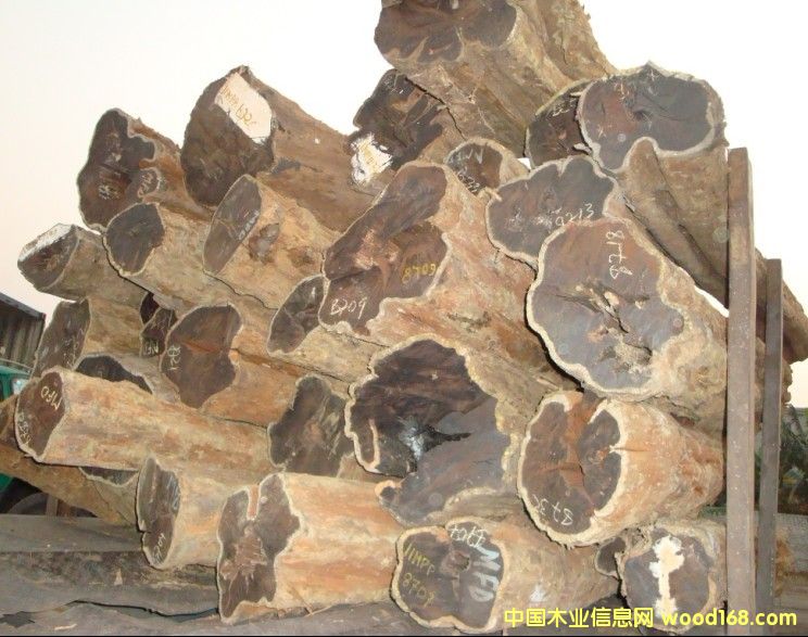 �Ϲ�̴��Ԕ��(x��)��B