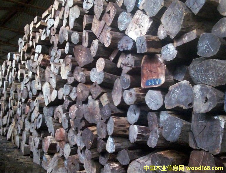 酸枝的詳細(xì)介紹