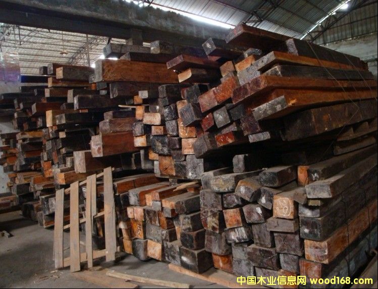 �t��֦��Ԕ��(x��)��B