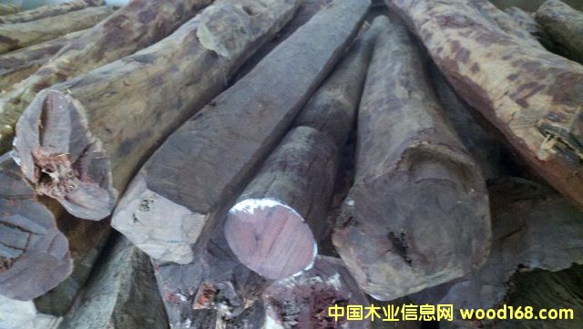 ��̴11-11-03��Ԕ��(x��)��B