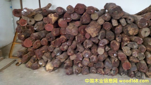 紫檀的詳細(xì)介紹