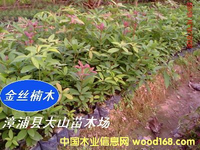 [��] ���ľN�磨�}����E骡�С�~���������ٻ�����t骣�