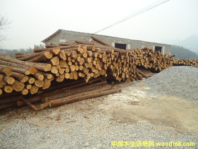 ɼԭľ��Ԕ����B