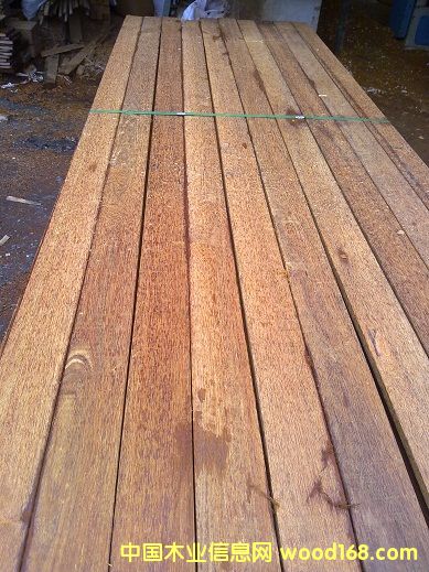 ���}��ذ��ٹ�ĵ�Ԕ��(x��)��B