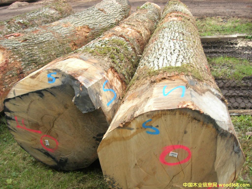 歐橡原木的詳細(xì)介紹
