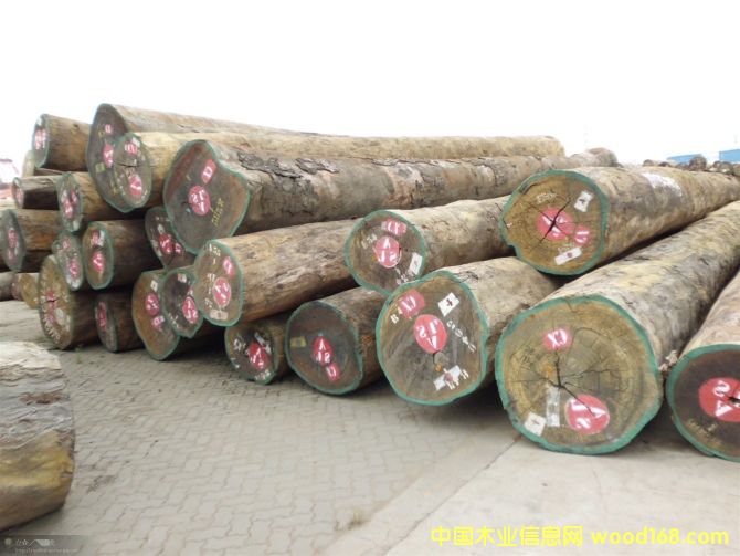 塔利的詳細(xì)介紹