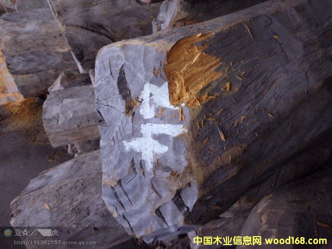 黃檀的詳細(xì)介紹