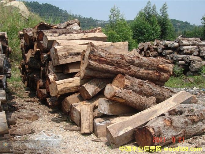 �������Ԕ��(x��)��B