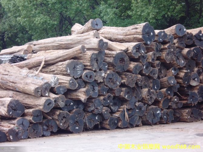 烏木的詳細(xì)介紹