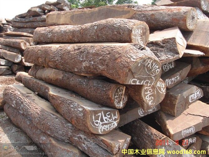 Ƥ�Ұ�ĵ�Ԕ��(x��)��B