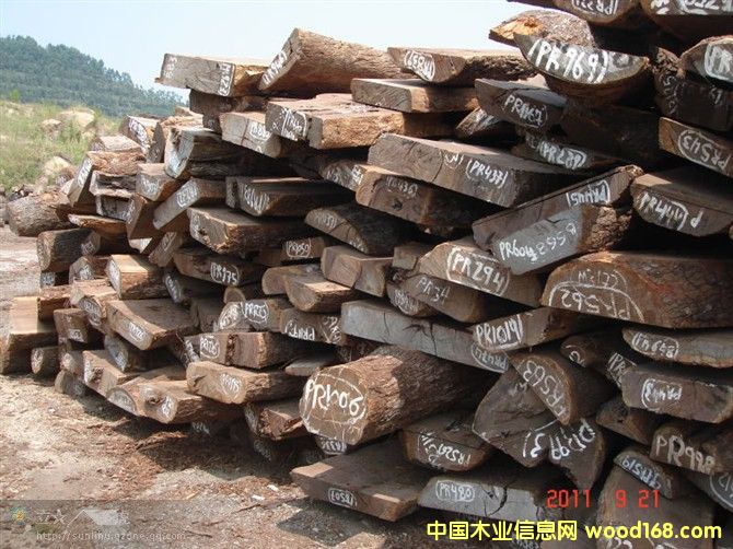 Ƥ�Ұ�ĵ�Ԕ��(x��)��B