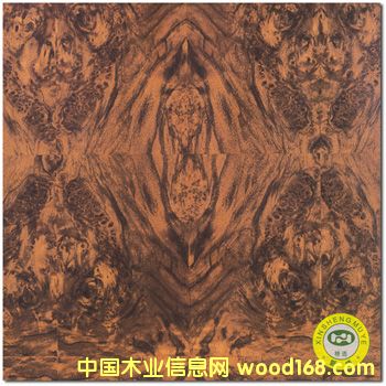 ���V��ʢ���ں��Ҙ�������-��ȻľƤ