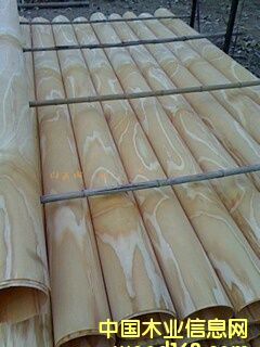 ݗ������Ƥ����1��Ԕ����B