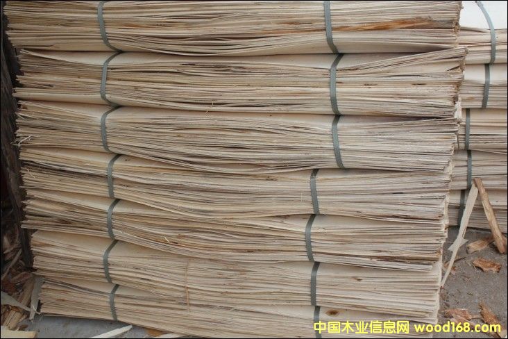 ��(x��)ľ�����×�ľ�ΰ�