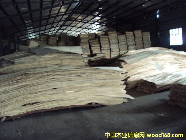 ����(y��ng)���|(zh��)���ӷe�ė�ľLVL��Ԕ��(x��)��B