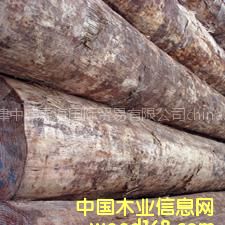 ���l(f��)��(y��u)�|(zh��)�M(j��n)�ڴ�ֱ���o(w��)��(ji��)��ݗ����ԭľ