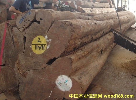 �ش���ľԭľ��Ԕ����B