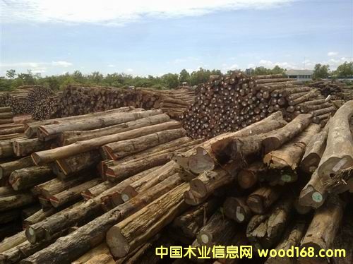 �M��ľ����ľԭľ����(y��ng)��Ԕ����B