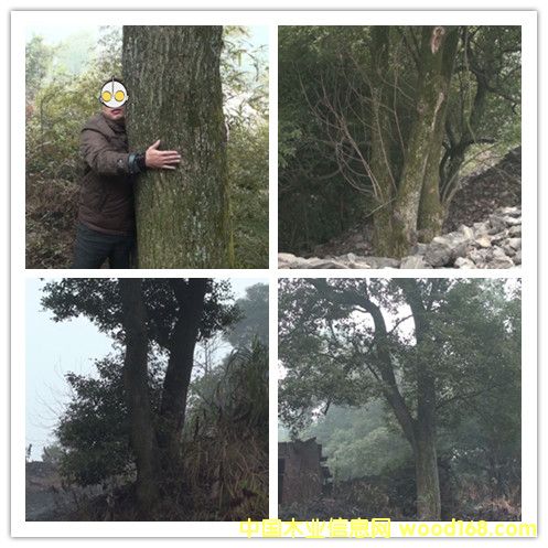 ������(sh��)��Ԕ��(x��)��B