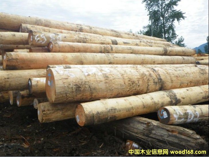 ������ԭľ��Ԕ��(x��)��B