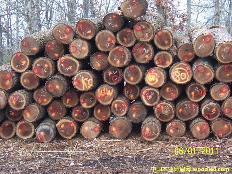 胡桃原木的詳細(xì)介紹