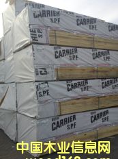 #3 SPF CARRIER��Ԕ��(x��)��B