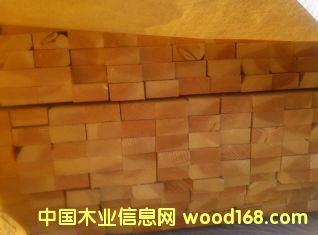 ������ 45mm x 90mm��Ԕ��(x��)��B