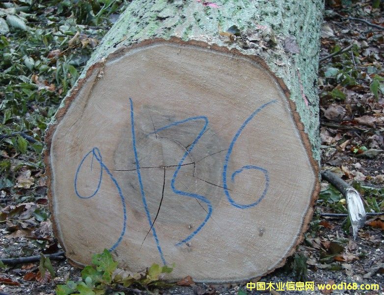 ˮ������Ԕ����B