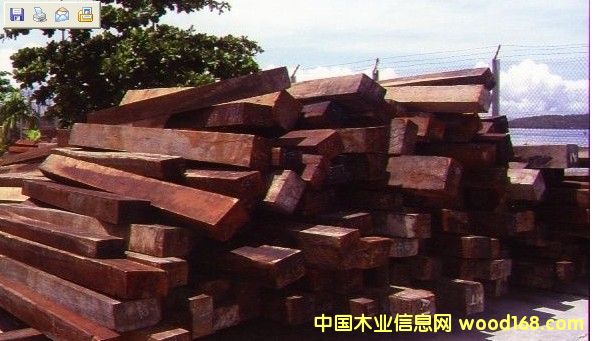 ���}���Ԕ��(x��)��B