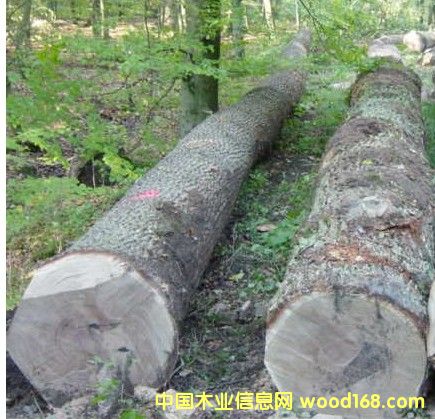 ԭľ�M(j��n)�ڵ�Ԕ��(x��)��B