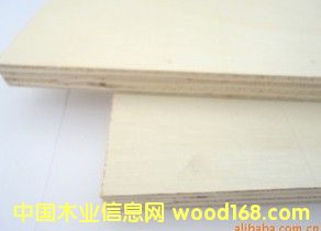 ȫ��ľľ��ĵ�Ԕ����B