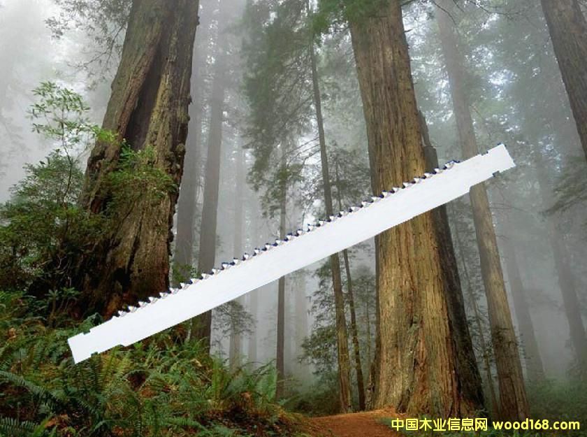 鋸條的詳細(xì)介紹