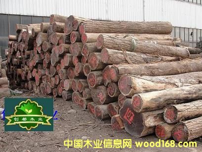 �������S̴�������޼t��֦��