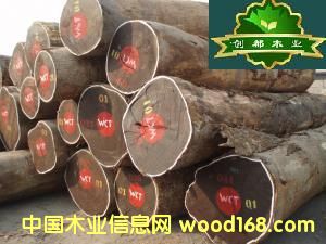 ���u��ľ�����u�ᣩ��Ԕ����B