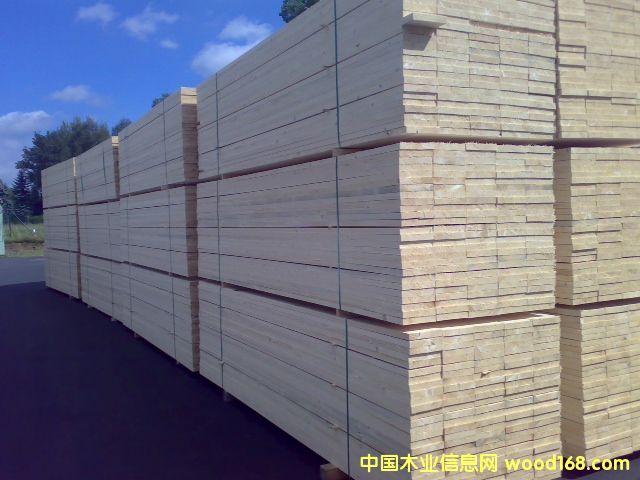 歐洲云杉的詳細(xì)介紹